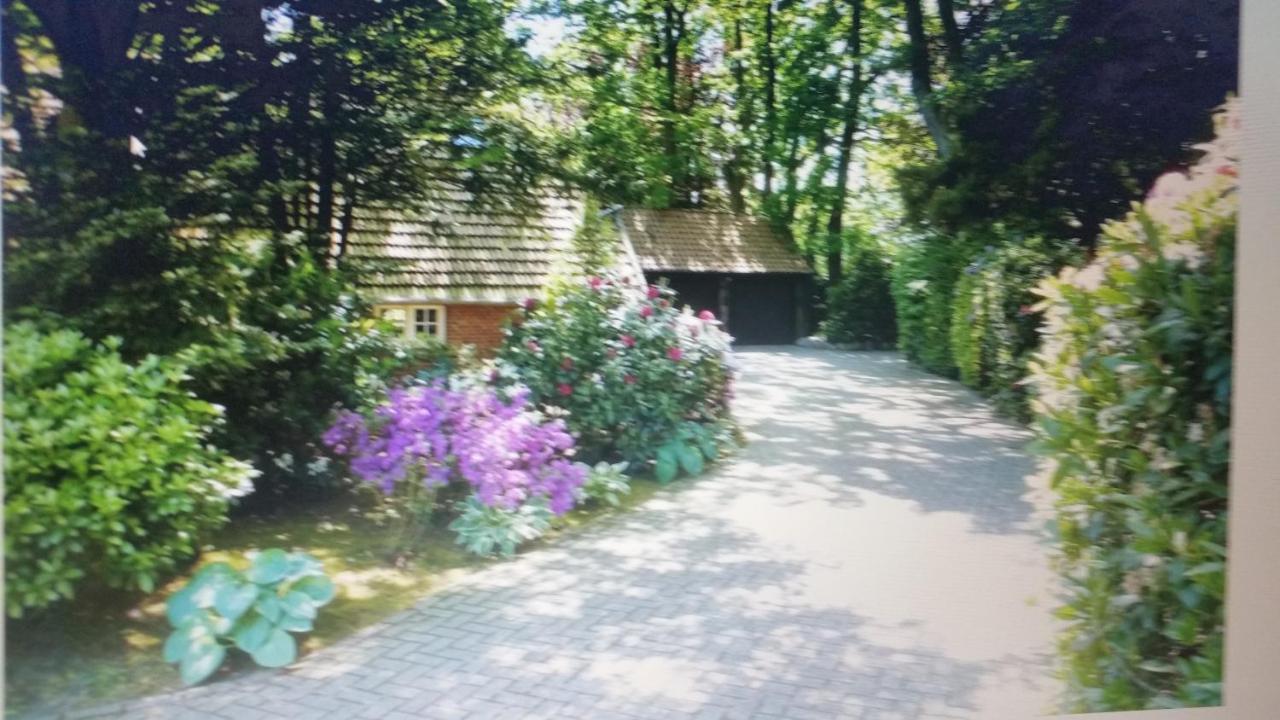 Ferienwohnung Morgensonne 韦斯特施泰德 外观 照片