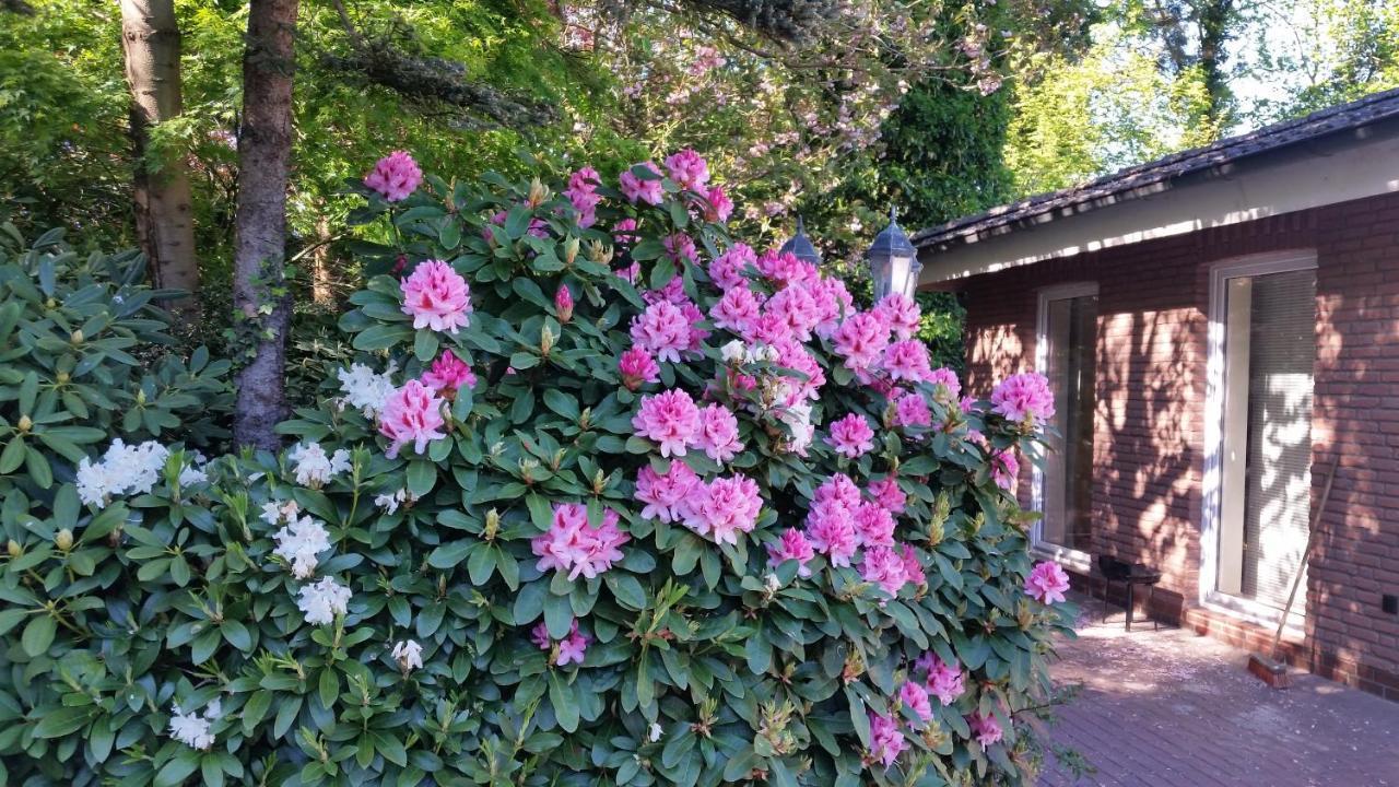 Ferienwohnung Morgensonne 韦斯特施泰德 外观 照片