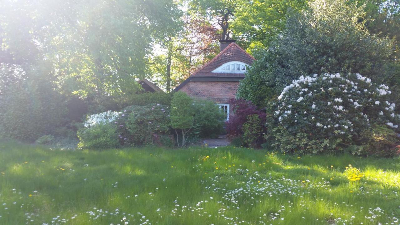 Ferienwohnung Morgensonne 韦斯特施泰德 外观 照片