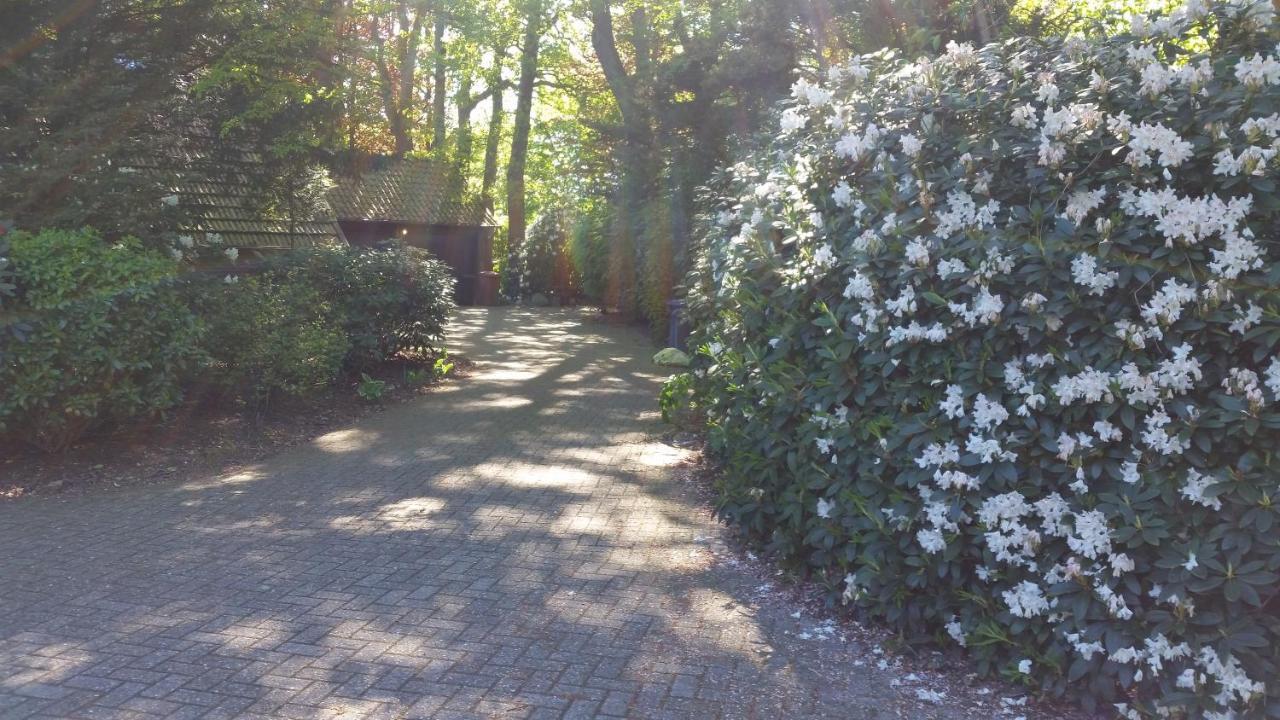Ferienwohnung Morgensonne 韦斯特施泰德 外观 照片