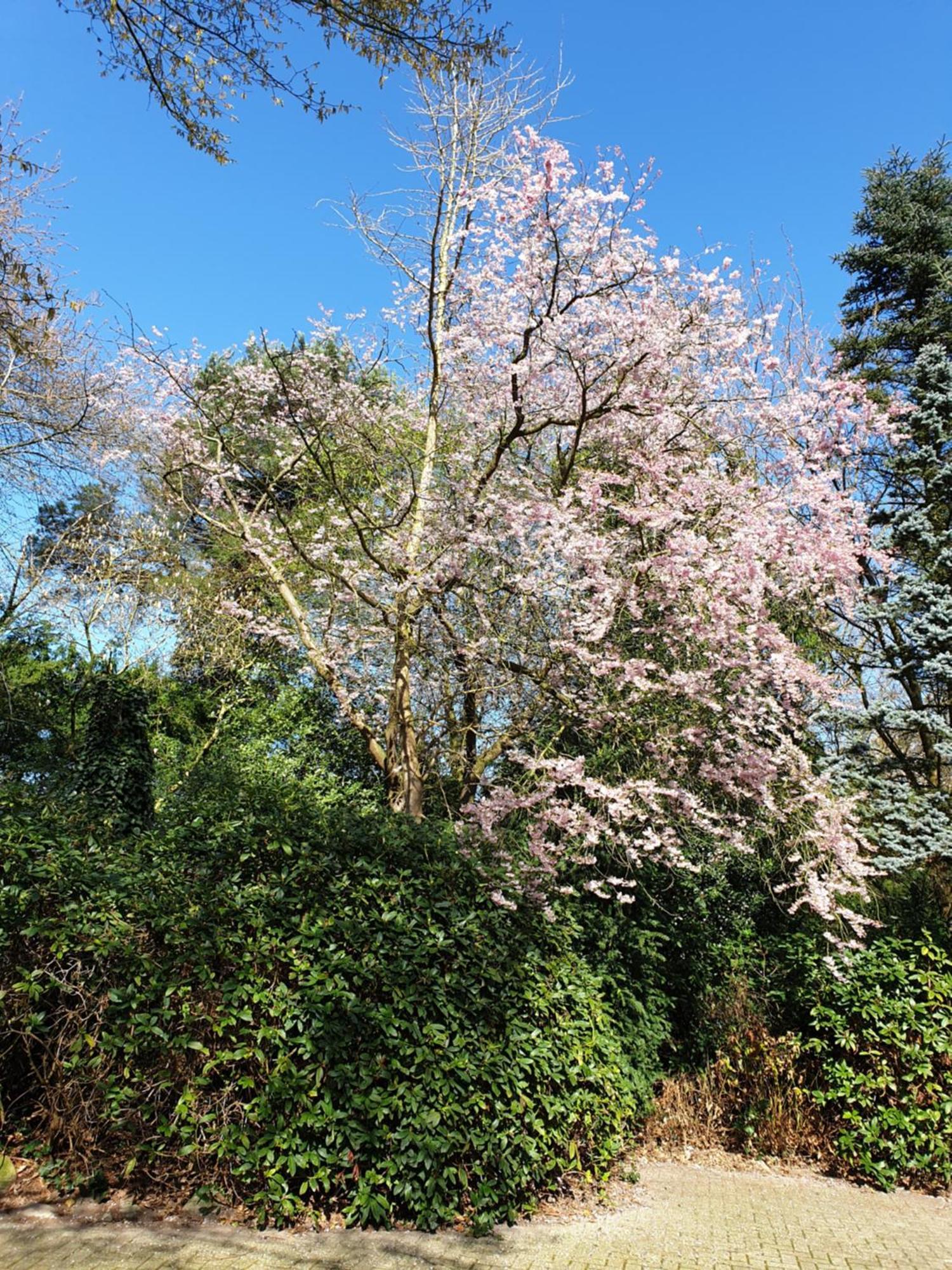 Ferienwohnung Morgensonne 韦斯特施泰德 外观 照片